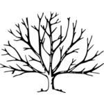 树与根矢量图形