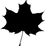 Maple leaf silhouette vektor image
