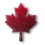 Kanada Maple Leaf vektör çizim
