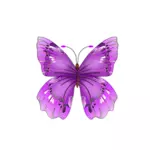 美丽的紫色蝴蝶
