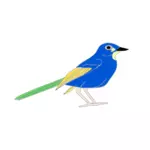 Obraz kolorowy papuga