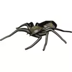 Örümcek vektör küçük resim