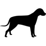 Стоящая собака силуэт векторное изображение