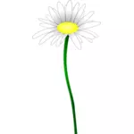 Ilustrasi warna sederhana dari daisy sederhana