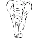 Vektor illustration av främre inför elefant