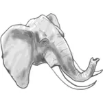 Elefantin ääriviivavektorigrafiikka