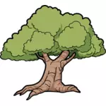 Векторная графика широкий корни дуба дерево