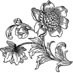 Clip-art vector de flores em flor em preto e branco