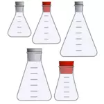 Bilimsel deneyler için şişeler