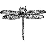 Ilustração de libélula