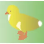 Vektorové kreslení z žluté kuřátko na zeleném pozadí