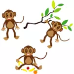 Mutlu maymunlar