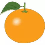 Simple sweet orange