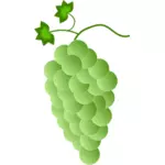 Groen-witte druiven