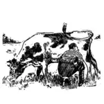 Dojenie krowy obrazu
