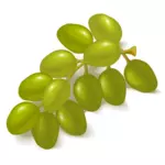 صورة العنب الأخضر