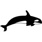 Orca सिल्हूट