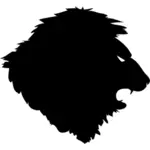 Lion bild