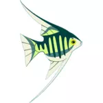 Imagem de peixes tropicais