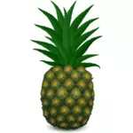 Grønne ananas vektor image