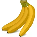 Kolme banaania