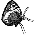 Бабочка в позе профиль