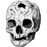 Image vectorielle crâne brisé