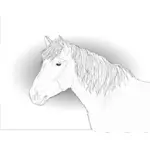 Vektorové kreslení koně