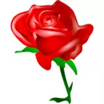 開花の赤いバラ
