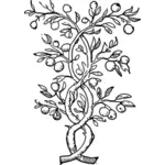Illustration vectorielle de branches tordues