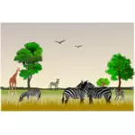 非洲野生动物风景矢量图像
