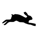 Kaninchen-hopping