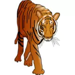 Gato selvagem do tigre