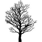 Силуэт бесплодной дерево 2