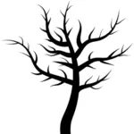 Баррен дерево