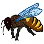 Bee close-up opname