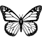 Векторные картинки черно-белая бабочка с широкими расправить крылья