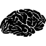 Gehirn-silhouette
