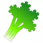 Brokolice, nastínil