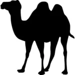 骆驼矢量剪影
