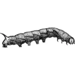 Caterpillar ilustrasi