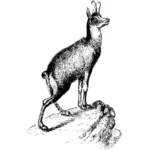 Vektor illustration av antilop på en sten