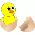 Poulet nouveau-né en image vectorielle coquille d'oeuf