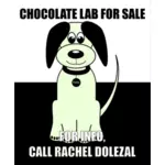 Selling dog