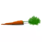 Векторное изображение морковь