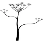 Болиголов цветок векторное изображение