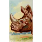 Imagen de rinoceronte indio