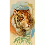Tiger's hoofd afbeelding