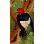 Woodpecker ilustrasi