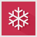 Vektorgrafikk vinter snø krystall tegn